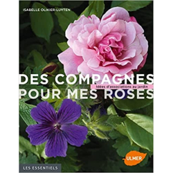 Des compagnes pour mes roses. Idées d'associations au jardin - Isabelle Olikier-Luyten