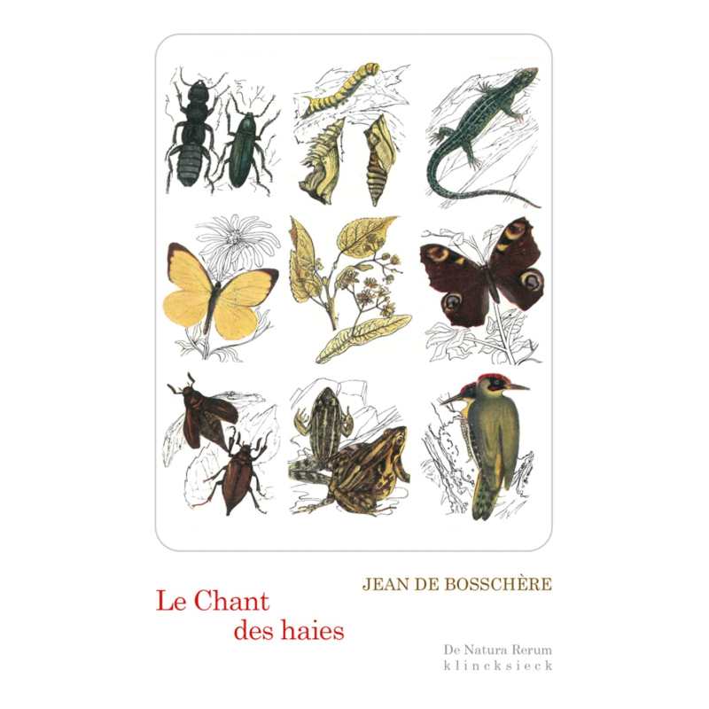 Le chant des haies - Flore et faune des lisières - Jean de Bosschère / Sandra Lefrançois