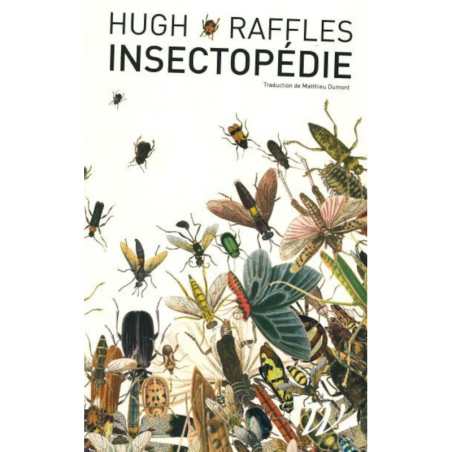 Insectopedie - Hugh Raffles