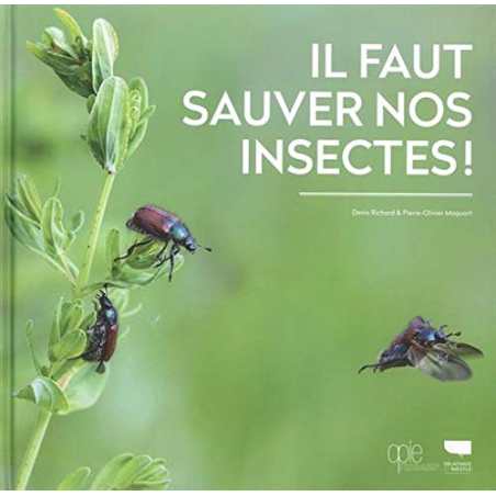 Il faut sauver nos insectes - Denis Richard / Pierre-Olivier Maquart