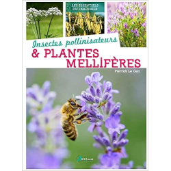 Insectes pollinisateurs et plantes méllifères - Pierrick Le Gall