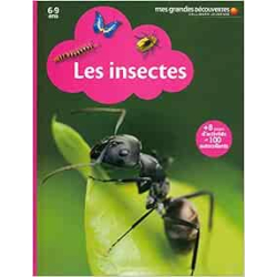 Les insectes - Marine Bellanger / Cléa Blanchard