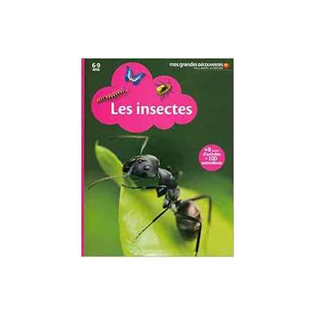 Les insectes - Marine Bellanger / Cléa Blanchard