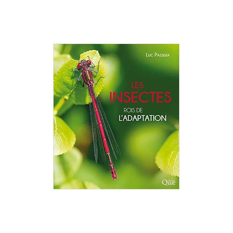 Les insectes - rois de l'adaptation - Luc Passera