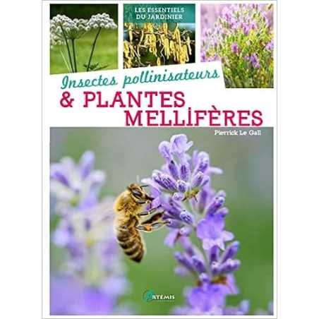 Insectes pollinisateurs & plantes melliferes - Pierrick Le Gall