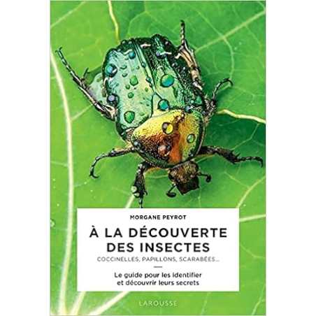 A la decouverte des insectes - Morgane Peyrot