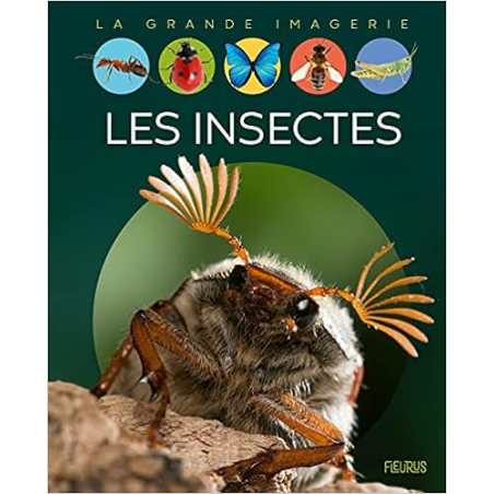 Les insectes - Emilie Beaumont / Bernard Alunni / Marie-Christine Lemayeur