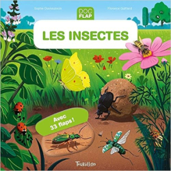 Les insectes - Sophie Dussaussois / Florence Guittard