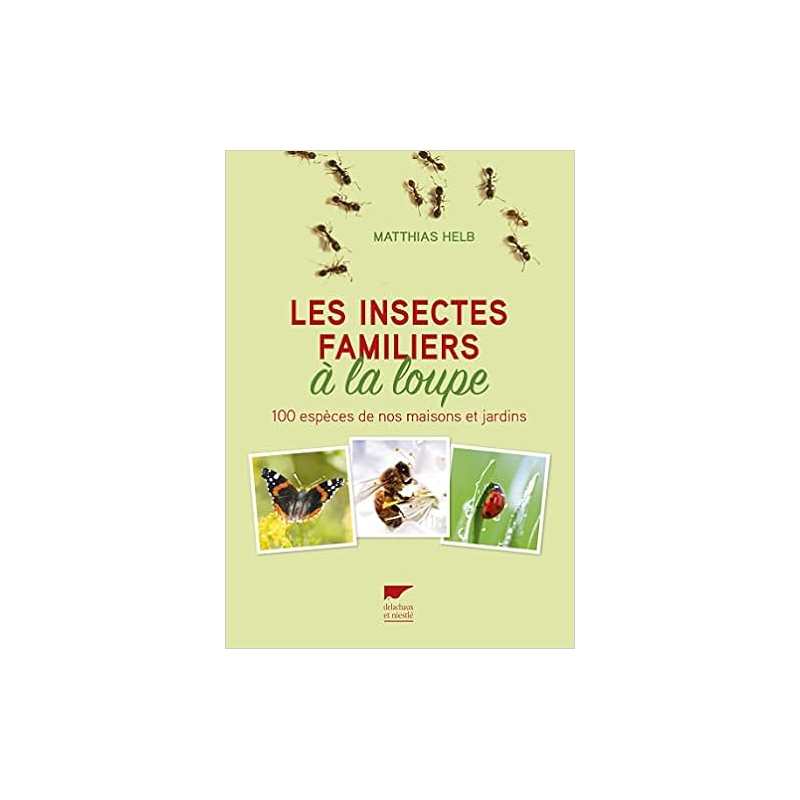 Les insectes familiers a la loupe - 100 especes de nos maisons et jardins - Matthias Helb