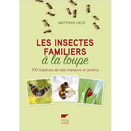 Les insectes familiers a la loupe - 100 especes de nos maisons et jardins - Matthias Helb