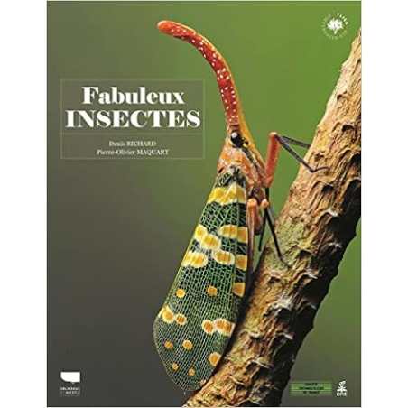 Fabuleux insectes - Denis Richard / Pierre-Olivier Maquart