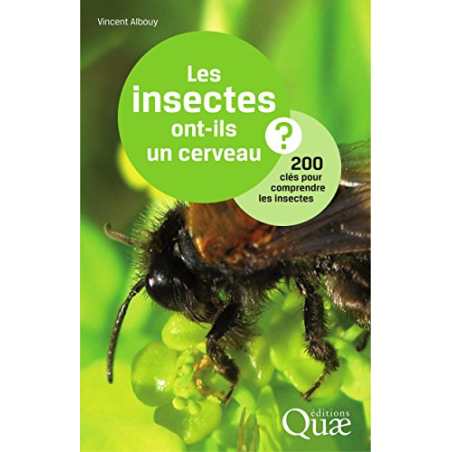 Les insectes ont-ils un cerveau ? - 200 cles pour comprendre les insectes. - Vincent Albouy