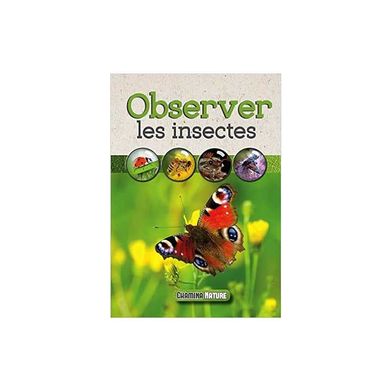 Observer les insectes - Jean-Jacques Bignon