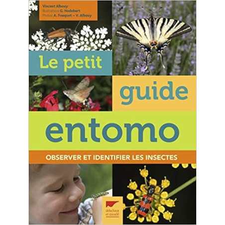 Le petit guide entomo - observer et identifier les insectes - Vincent Albouy