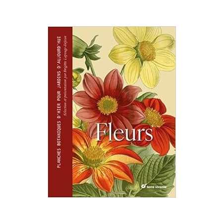 Fleurs - Planches botaniques d'hier pour jardins d'aujourd'hui - B. Lapouge-Dejean