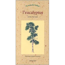 L'eucalyptus - Lionel Hignard