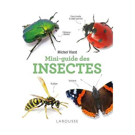 Mini-guide des insectes - Michel Viard