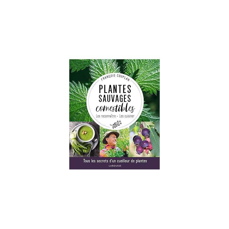 Plantes sauvages comestibles: Tous les secrets d'un cueilleur de plantes - François Couplan