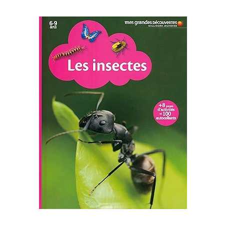 Les insectes - Michel Braudeau