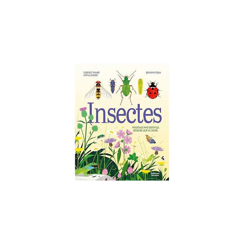 Insectes - Florence Thinard