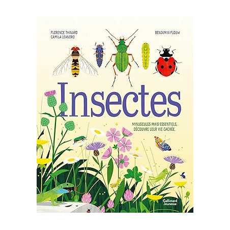 Insectes - Florence Thinard