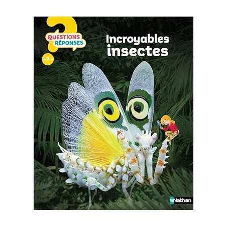 Les insectes - Questions/Réponses - Dès 7 ans - Amanda O'Neill