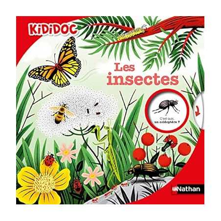 Les Insectes - Kididoc - Livre animé - Stéphane Hurtrez