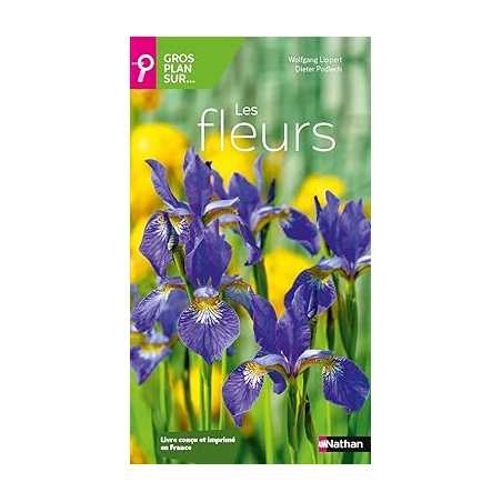 Gros plan sur les fleurs - Wolfgang Lippert