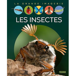 Les insectes - Emilie Beaumont