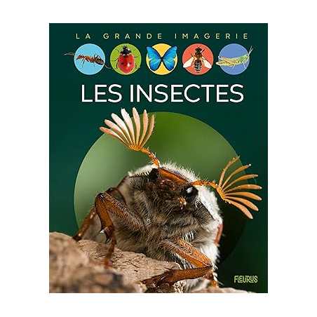 Les insectes - Emilie Beaumont