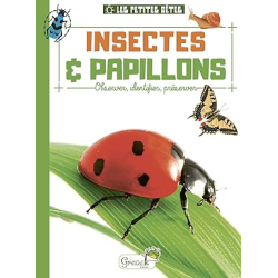 Insectes et papillons - Alice Delvaille