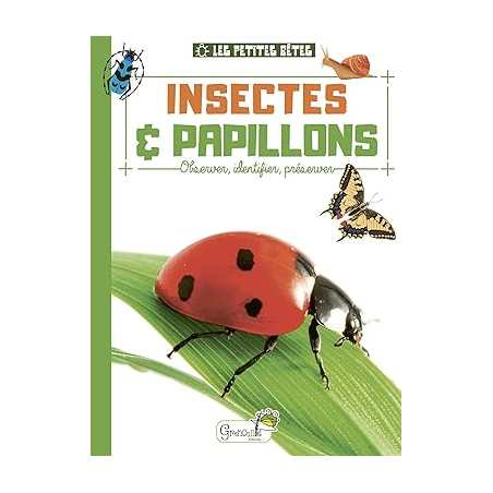 Insectes et papillons - Alice Delvaille