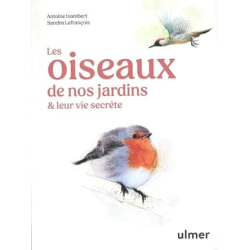 Les oiseaux de nos jardins & leur vie secrète - Antoine Isambert