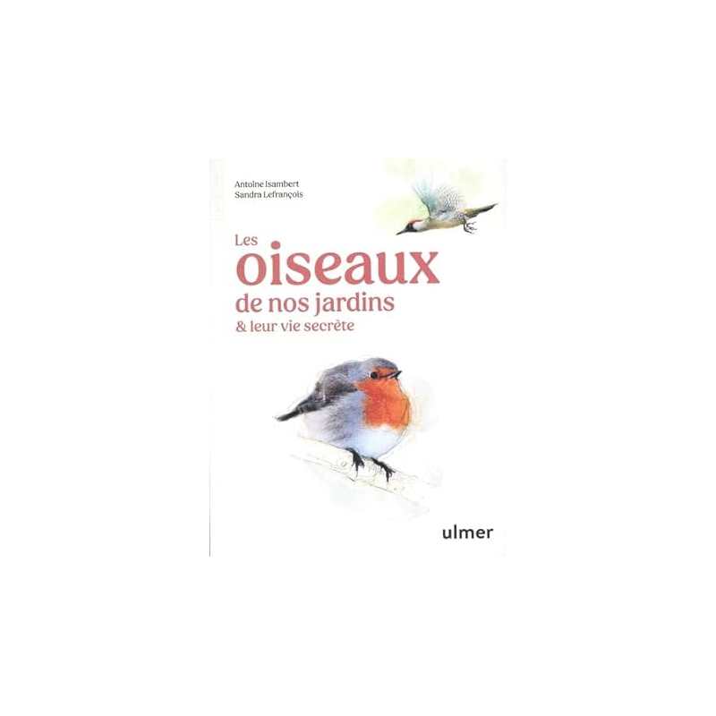 Les oiseaux de nos jardins & leur vie secrète - Antoine Isambert