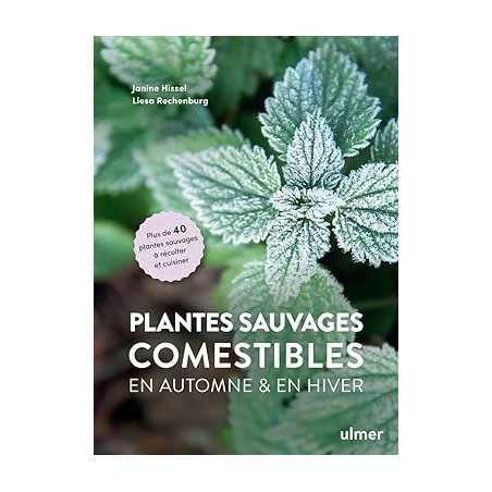 Plantes sauvages comestibles en automne et en hiver - Janine Hissel