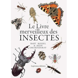 Le livre merveilleux des insectes - Medy Oberendorff
