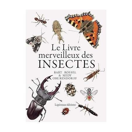 Le livre merveilleux des insectes - Medy Oberendorff