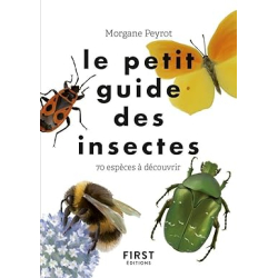 Le petit guide des insectes - 70 espèces à découvrir - Morgane Peyrot