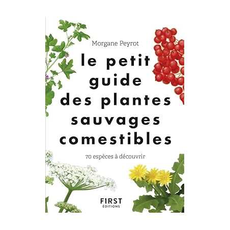 Le Petit guide des plantes sauvages comestibles - 70 espèces à découvrir - Morgane Peyrot