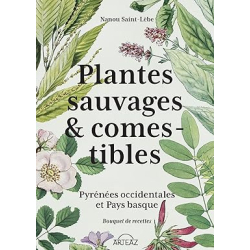 Plantes sauvages & comestibles: Pyrénées occidentales et Pays basque Bouquet de recettes - Nanou Saint-Lèbe