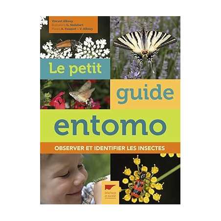 Le Petit guide entomo: Observer et identifier les insectes - Vincent Albouy