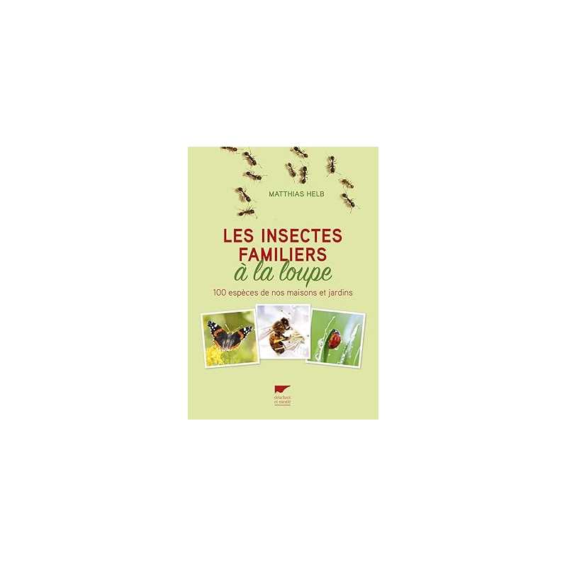 Les insectes familiers à la loupe: 100 espèces de nos maisons et jardins - Matthias Helb