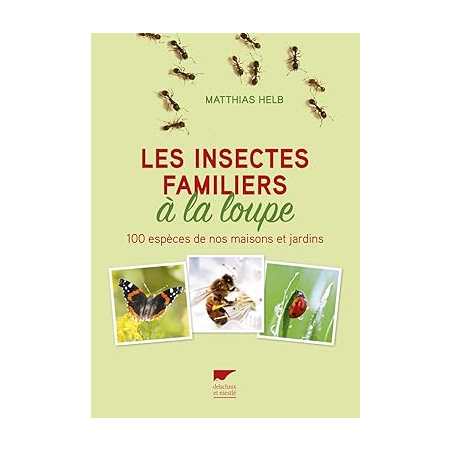 Les insectes familiers à la loupe: 100 espèces de nos maisons et jardins - Matthias Helb