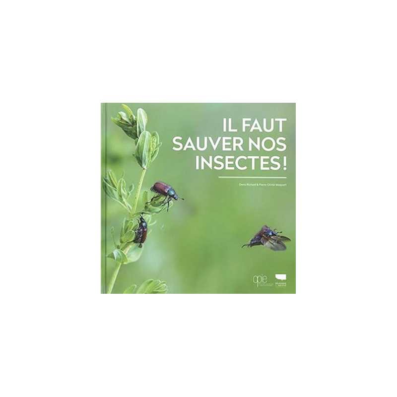 Il faut sauver nos insectes - Pierre-Olivier M…