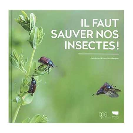 Il faut sauver nos insectes - Pierre-Olivier M…