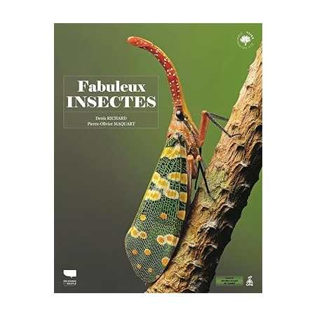 Fabuleux insectes - Denis Richard