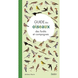 Guide des oiseaux des forêts et campagnes - Jérôme Morin