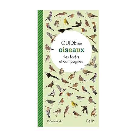 Guide des oiseaux des forêts et campagnes - Jérôme Morin