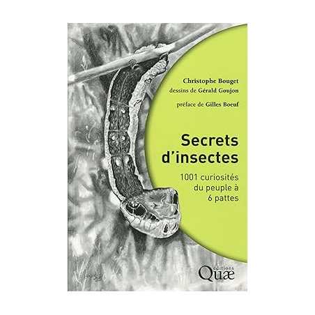 Secrets d'insectes: 1001 curiosités du peuple à 6 pattes. - Christophe Bouget