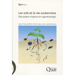 Les sols et la vie souterraine: Des enjeux majeurs en agroécologie - Jean-François…